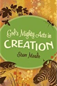 Image of God's Mighty Acts in Creation